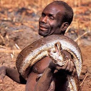 Meet your Posher, Dave